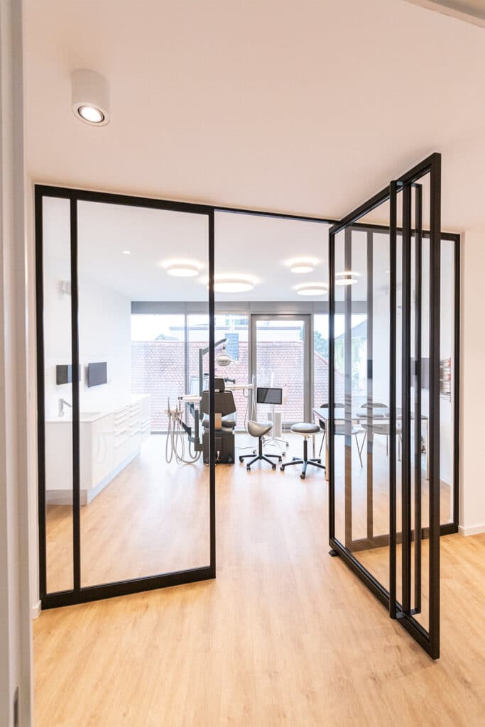 Stahl-Meister Stahl Loft Tür, Pivottür, Lofttür, Stahltür, Designtür, Glastrennwand, Büro, Praxis, Raumtrenner, Loft Türen