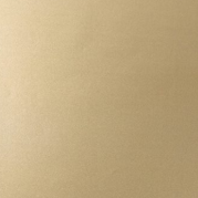 Stahl-Meister_Perlgold_Gold_Feinstruktur_Pulverbeschichtung_Lofttuer